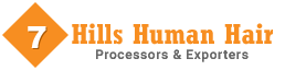 7Hills Human Hair